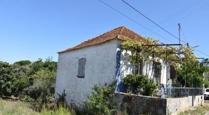 Maison de village T3 à Madalena e Beselga de 120 m²