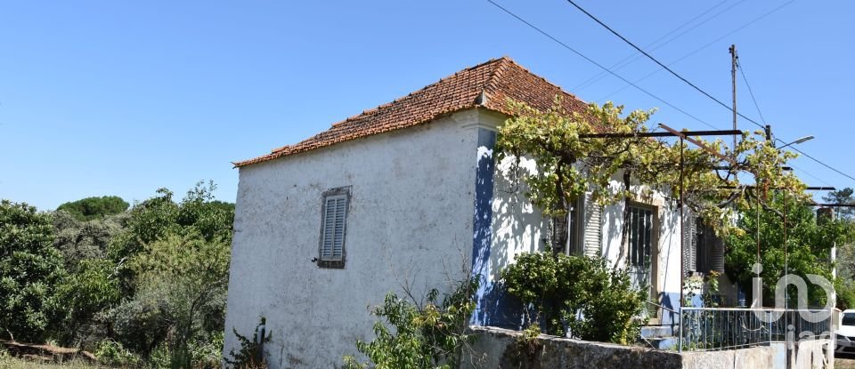 Casa de aldeia T3 em Madalena e Beselga de 120 m²