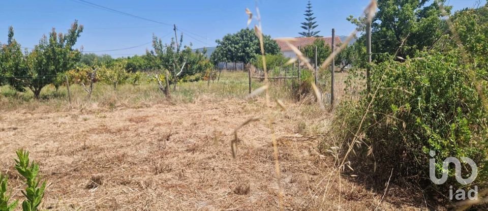 Terrain à Leiria, Pousos, Barreira e Cortes de 1 728 m²