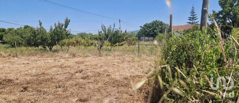 Terrain à Leiria, Pousos, Barreira e Cortes de 1 728 m²