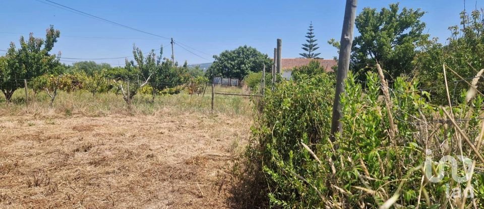 Terrain à Leiria, Pousos, Barreira e Cortes de 1 728 m²