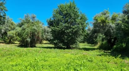 Building land in Poiares (Santo André) of 6,682 m²