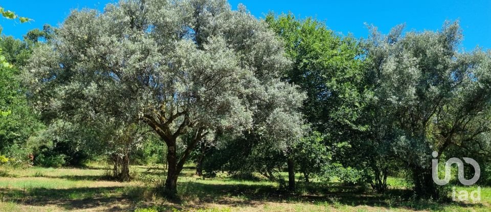 Terrain à bâtir à Poiares (Santo André) de 6 682 m²