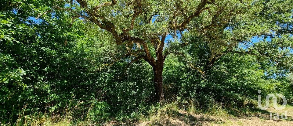 Terrain à bâtir à Poiares (Santo André) de 6 682 m²