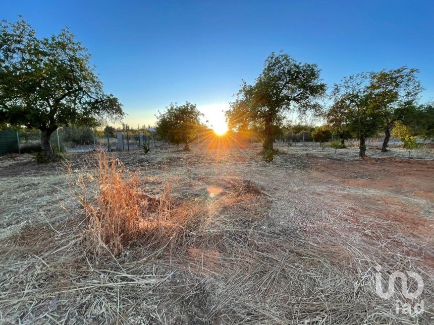 Terreno em Boliqueime de 7 000 m²