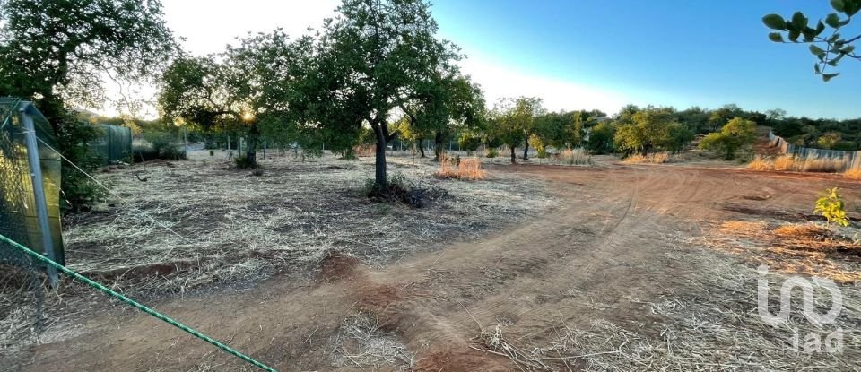 Terreno em Boliqueime de 7 000 m²