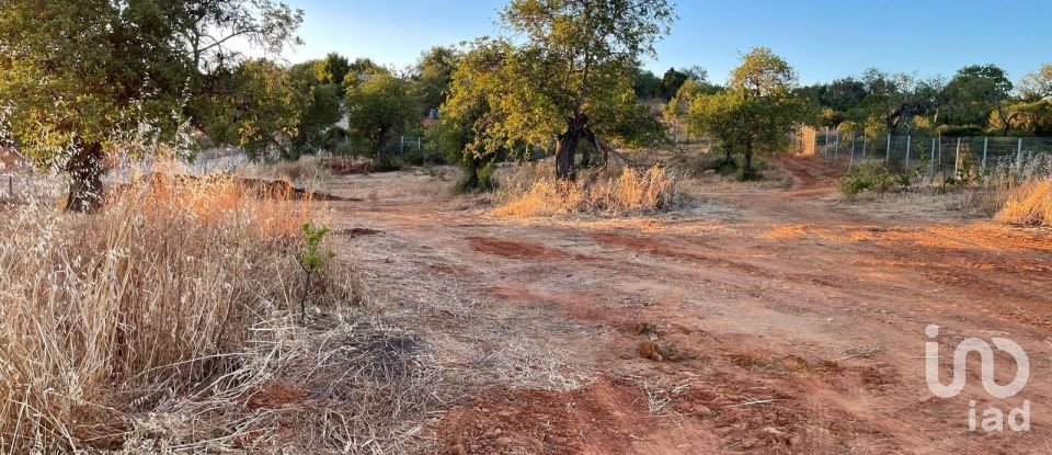 Terreno em Boliqueime de 7 000 m²