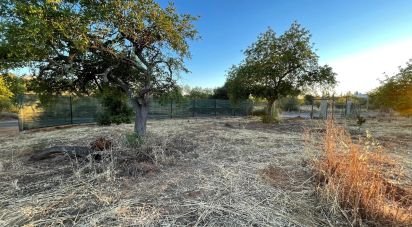 Terreno em Boliqueime de 7 000 m²