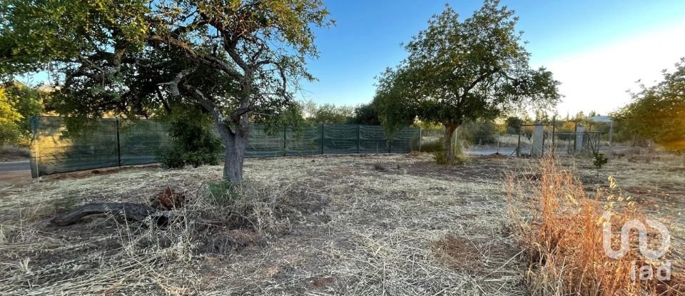 Terreno em Boliqueime de 7 000 m²