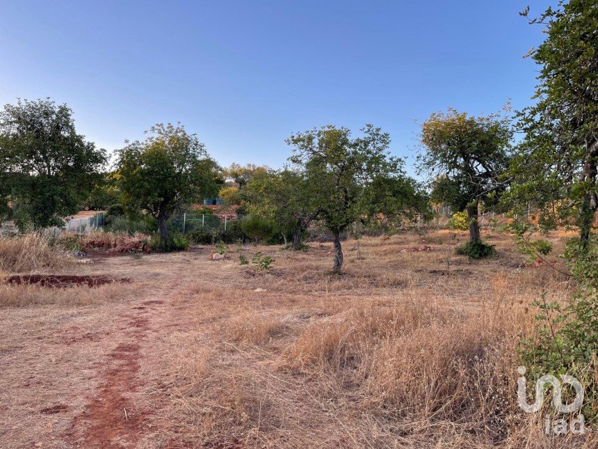 Terreno em Boliqueime de 7 000 m²