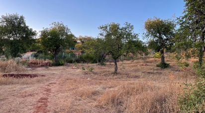 Land in Boliqueime of 7,000 m²