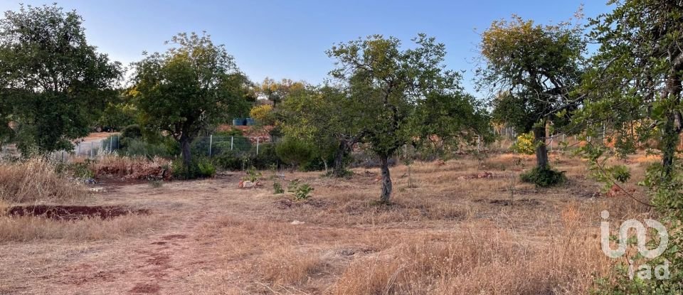 Terreno em Boliqueime de 7 000 m²