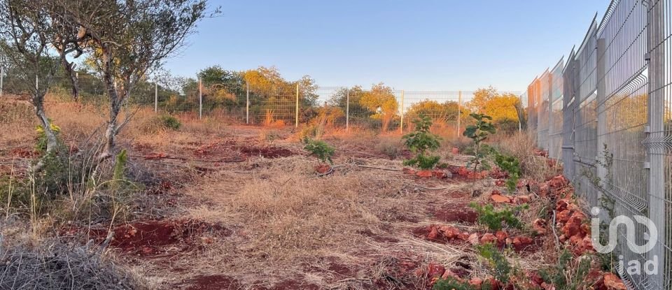 Terreno em Boliqueime de 7 000 m²