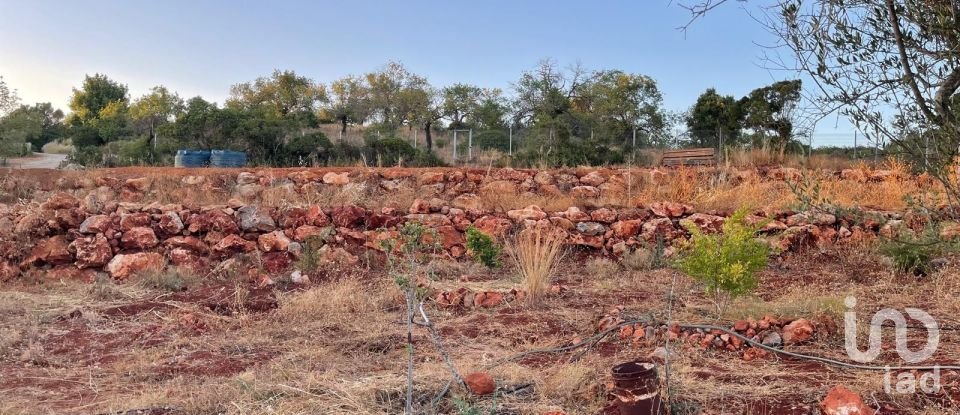 Terreno em Boliqueime de 7 000 m²