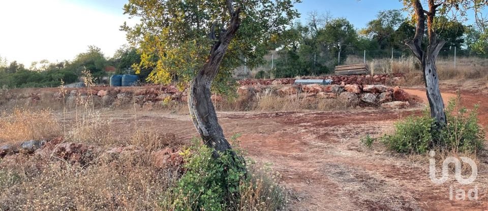 Terreno em Boliqueime de 7 000 m²