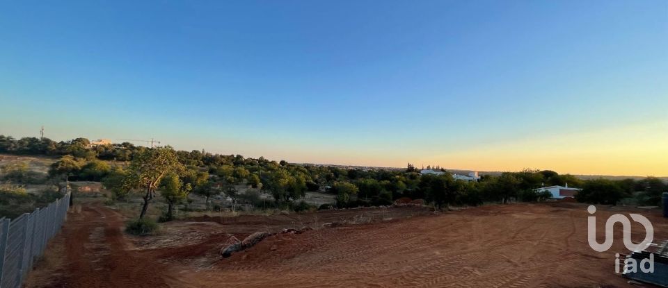 Terreno em Boliqueime de 7 000 m²