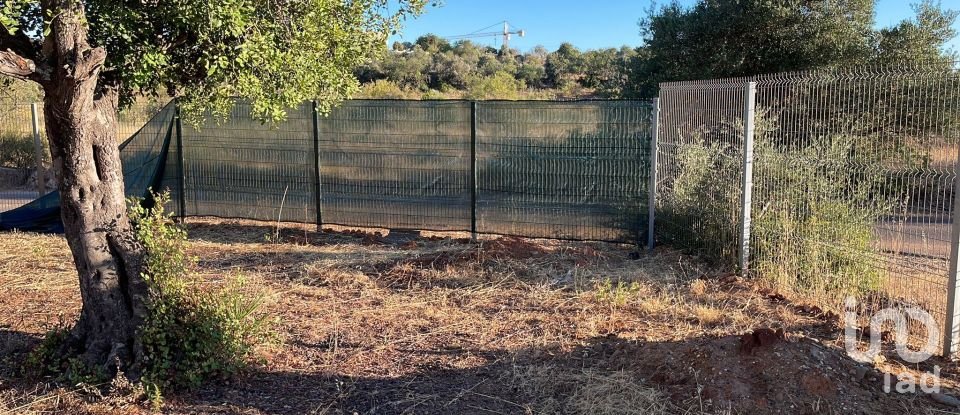 Terreno em Boliqueime de 7 000 m²