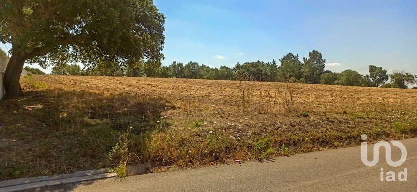 Building land in Coruche, Fajarda e Erra of 19,250 m²