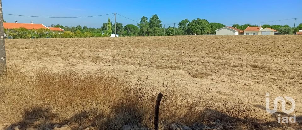 Terreno para construção em Coruche, Fajarda e Erra de 19 250 m²