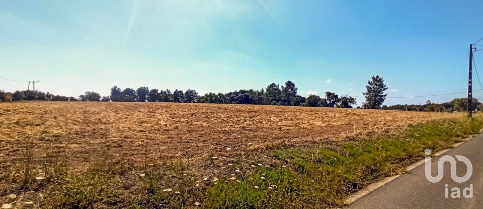 Building land in Coruche, Fajarda e Erra of 19,250 m²