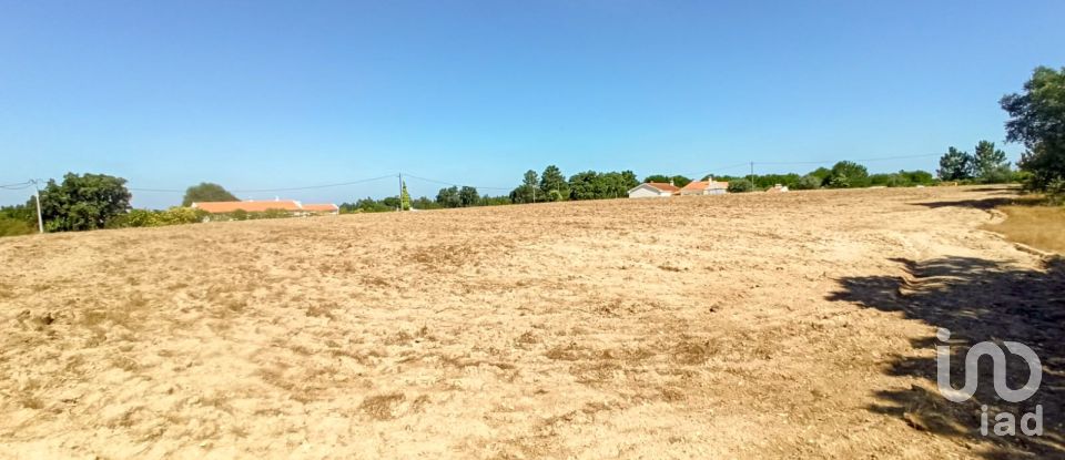 Building land in Coruche, Fajarda e Erra of 19,250 m²