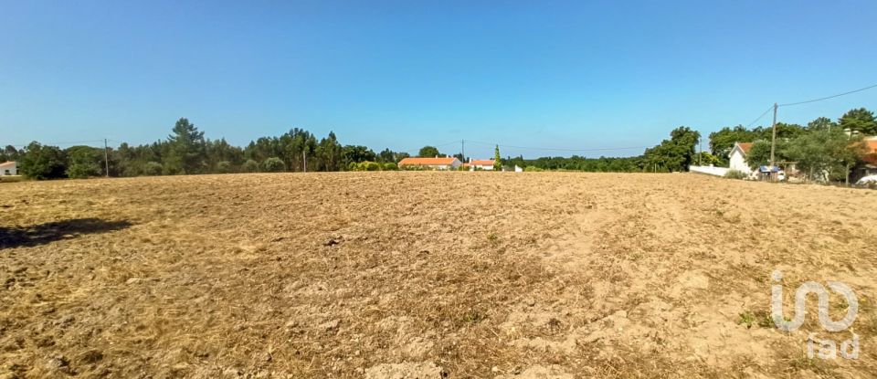 Building land in Coruche, Fajarda e Erra of 19,250 m²