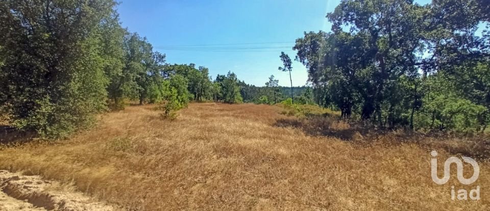 Building land in Coruche, Fajarda e Erra of 19,250 m²