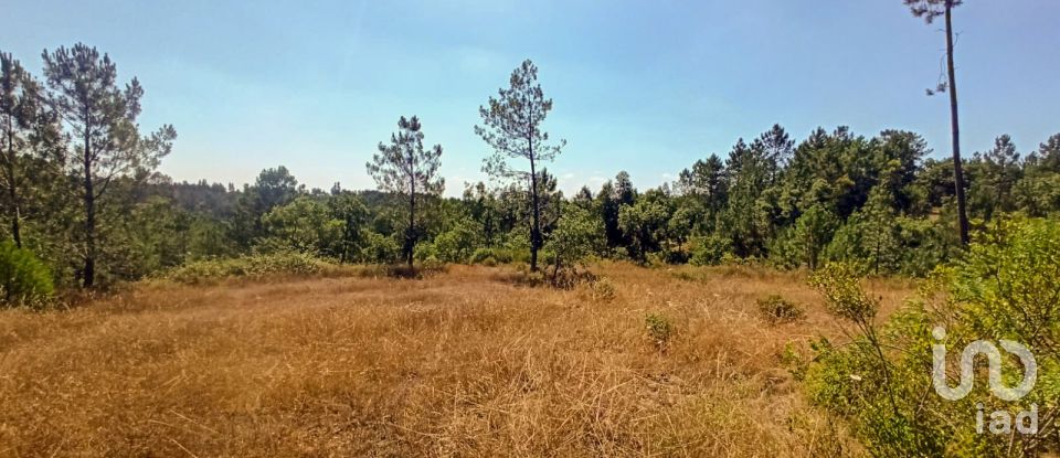 Terreno para construção em Coruche, Fajarda e Erra de 19 250 m²