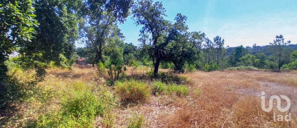 Building land in Coruche, Fajarda e Erra of 19,250 m²