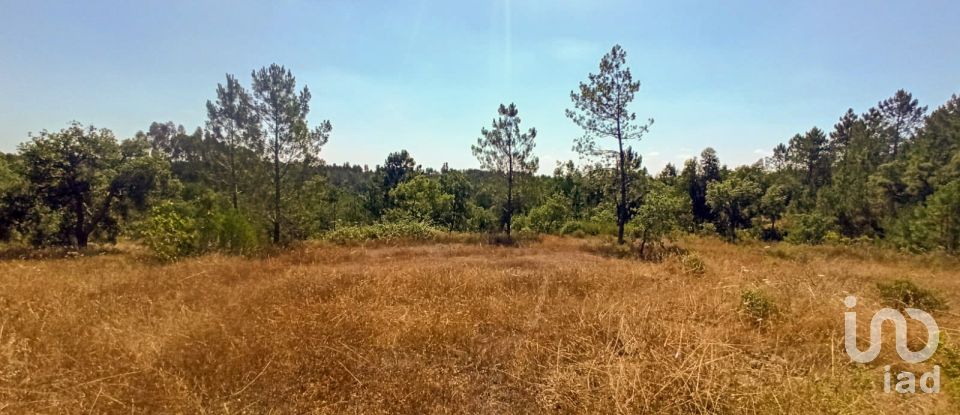 Terrain à bâtir à Coruche, Fajarda e Erra de 19 250 m²