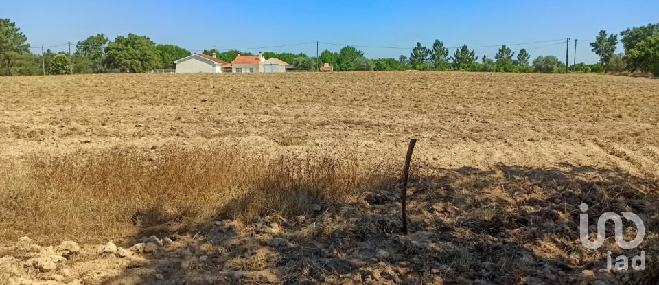 Building land in Coruche, Fajarda e Erra of 19,250 m²