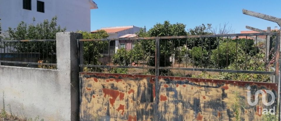 Terreno em Fernão Ferro de 350 m²