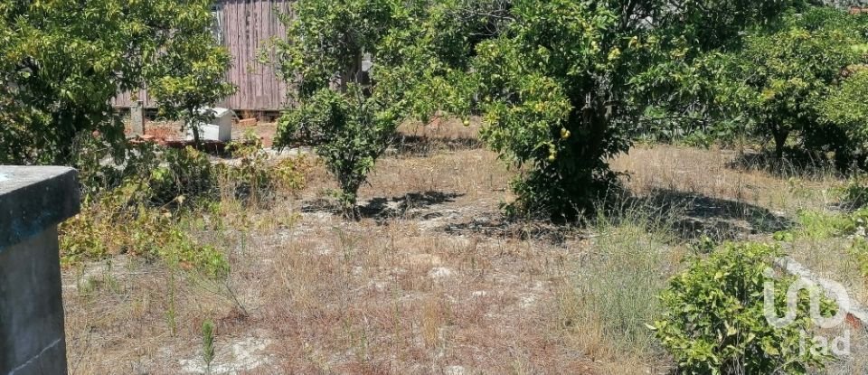 Terreno em Fernão Ferro de 350 m²