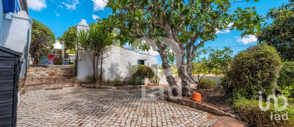 Traditional house T3 in São Brás de Alportel of 105 m²