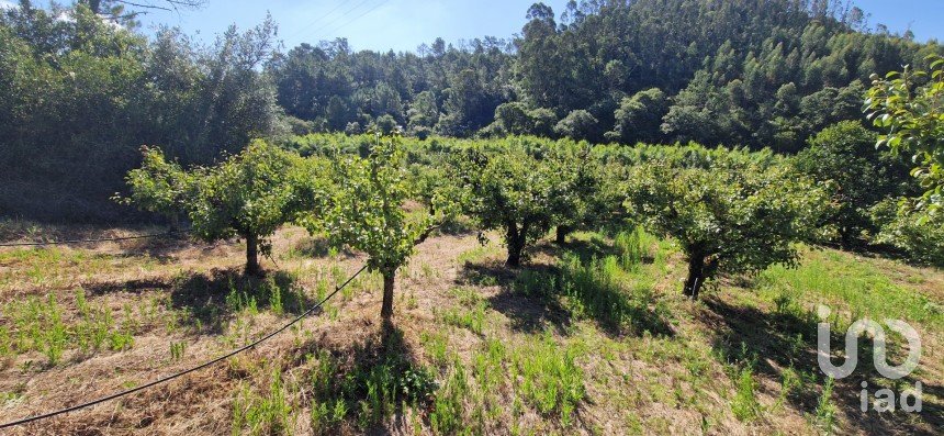 Terrain à Azueira e Sobral da Abelheira de 6 247 m²