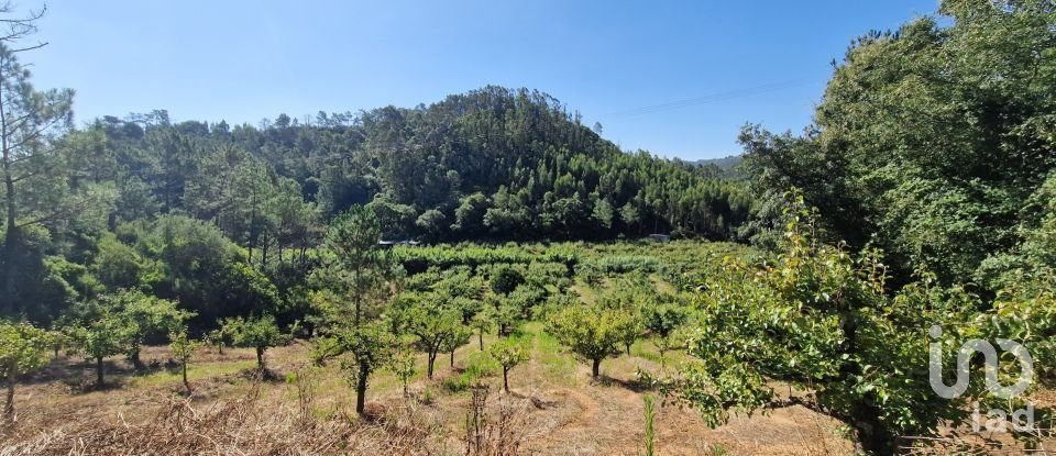 Terrain à Azueira e Sobral da Abelheira de 6 247 m²