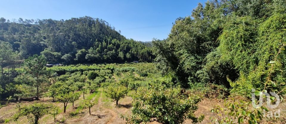 Terreno em Azueira e Sobral da Abelheira de 6 247 m²