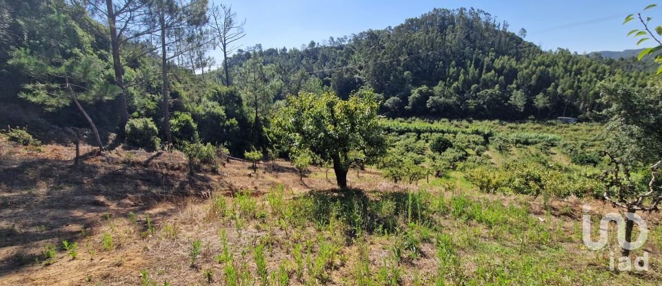 Land in Azueira e Sobral da Abelheira of 6,247 m²