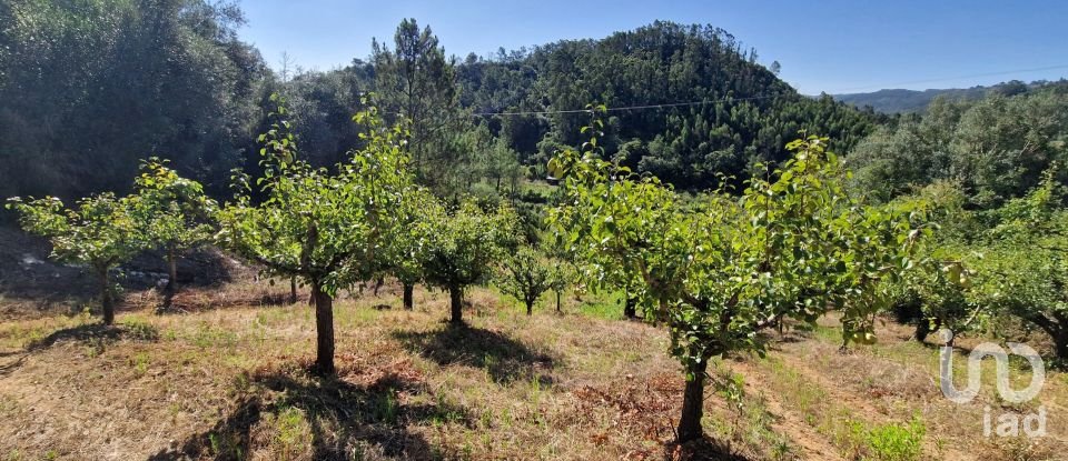 Terreno em Azueira e Sobral da Abelheira de 6 247 m²