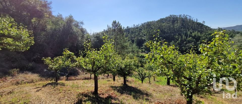 Terrain à Azueira e Sobral da Abelheira de 6 247 m²