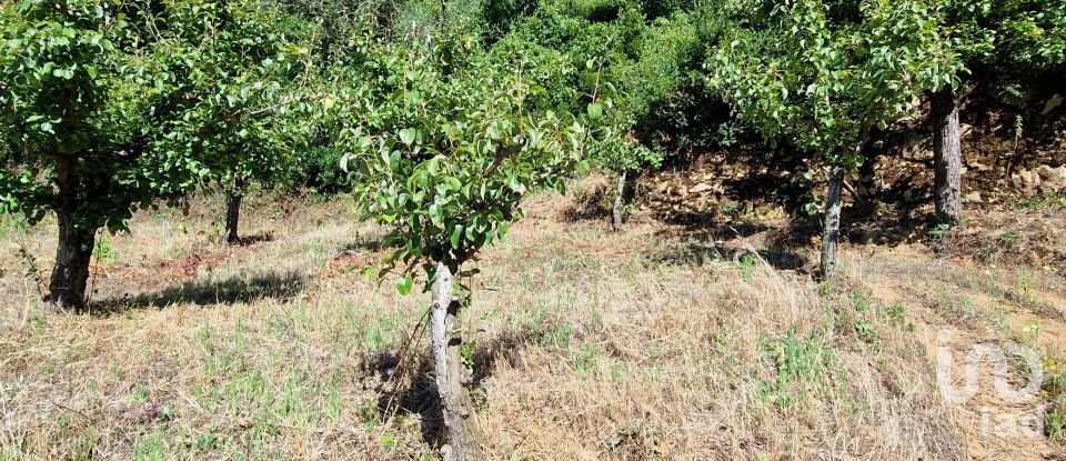 Land in Azueira e Sobral da Abelheira of 6,247 m²