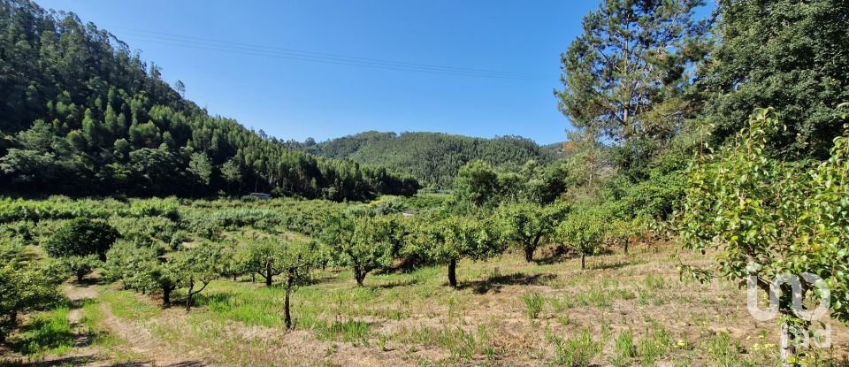 Terrain à Azueira e Sobral da Abelheira de 6 247 m²