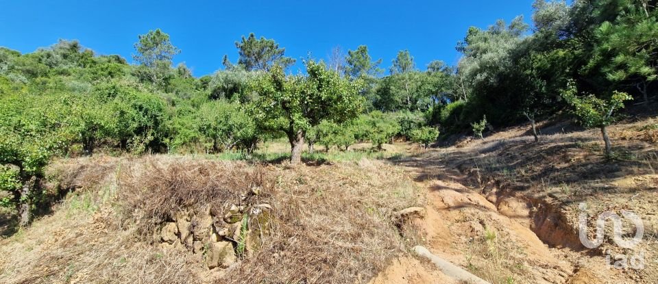 Terreno em Azueira e Sobral da Abelheira de 6 247 m²