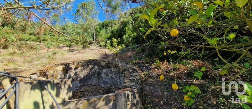 Terreno em Azueira e Sobral da Abelheira de 6 247 m²