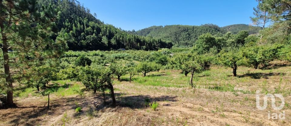 Terrain à Azueira e Sobral da Abelheira de 6 247 m²