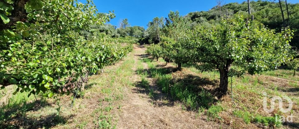 Land in Azueira e Sobral da Abelheira of 6,247 m²