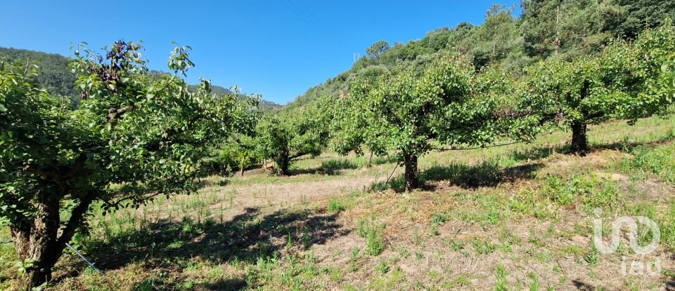 Terrain à Azueira e Sobral da Abelheira de 6 247 m²