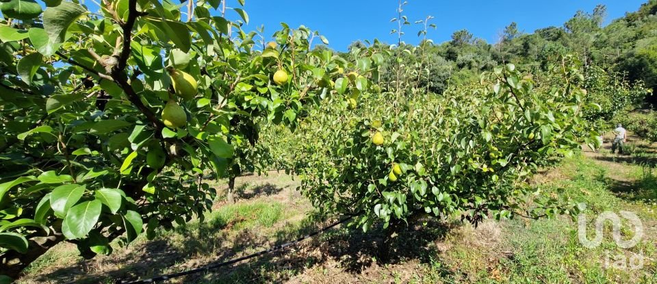 Land in Azueira e Sobral da Abelheira of 6,247 m²