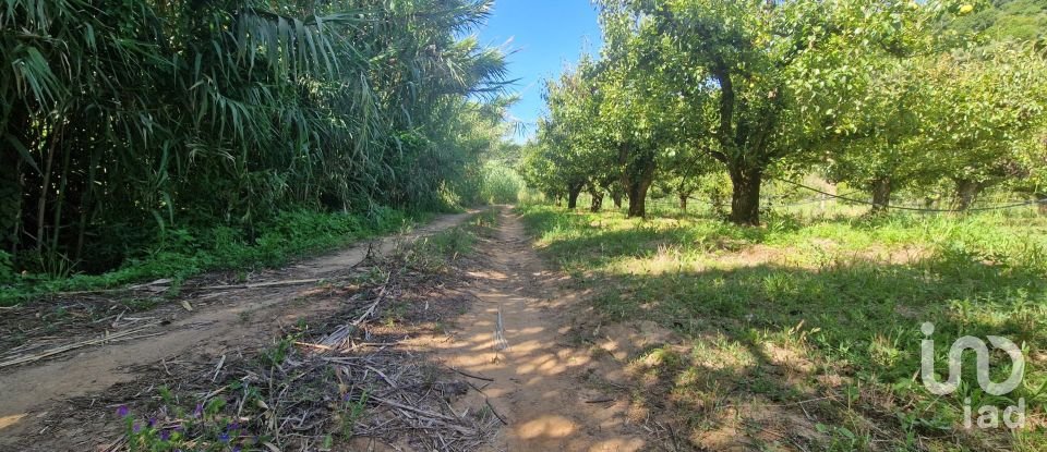 Terreno em Azueira e Sobral da Abelheira de 6 247 m²