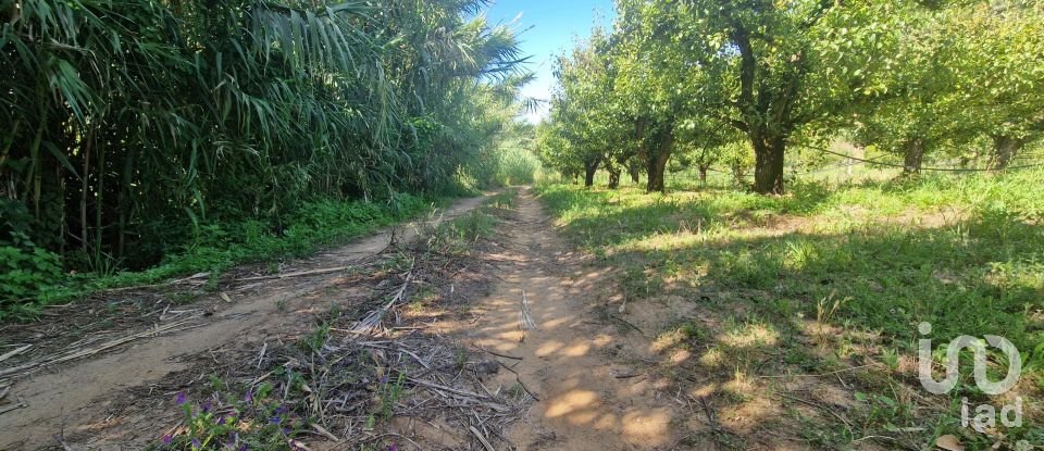 Terreno em Azueira e Sobral da Abelheira de 6 247 m²